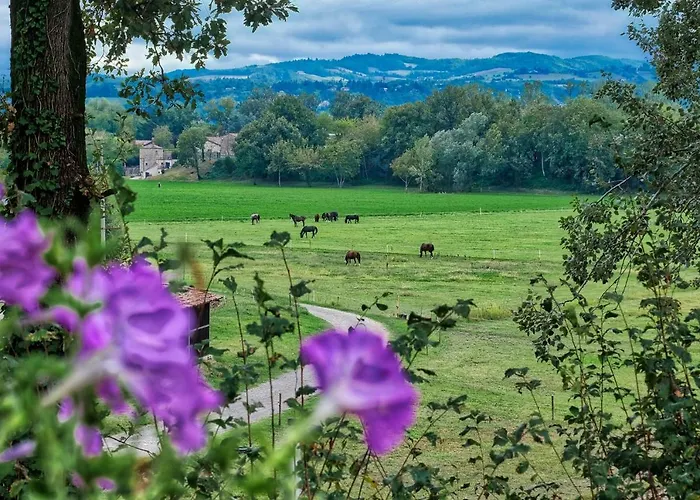 Agriturismo Croara Vecchia Bed & Breakfast Gazzola Di Rivalta