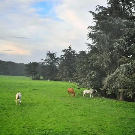 Agriturismo Croara Vecchia Gazzola Di Rivalta