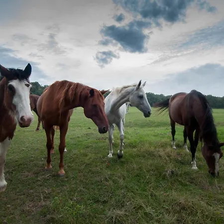 Agriturismo Croara Vecchia *