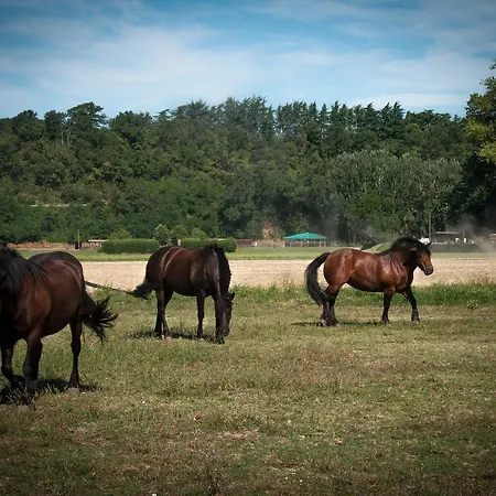 Frühstückspension Agriturismo Croara Vecchia Gazzola Di Rivalta