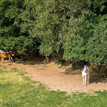 Agriturismo Croara Vecchia Frühstückspension *
