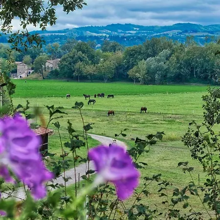 Agriturismo Croara Vecchia Frühstückspension Gazzola Di Rivalta