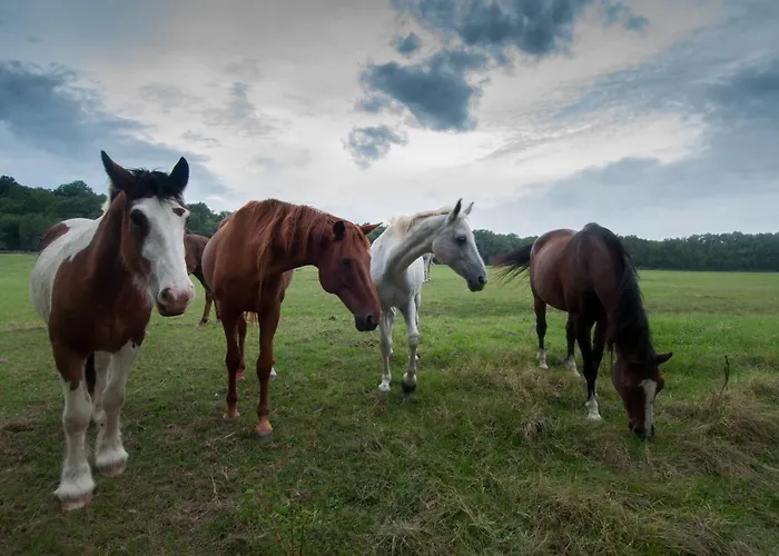 Agriturismo Croara Vecchia *