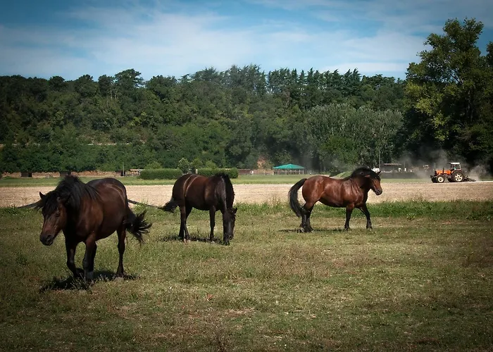 Bed & Breakfast Agriturismo Croara Vecchia Gazzola Di Rivalta