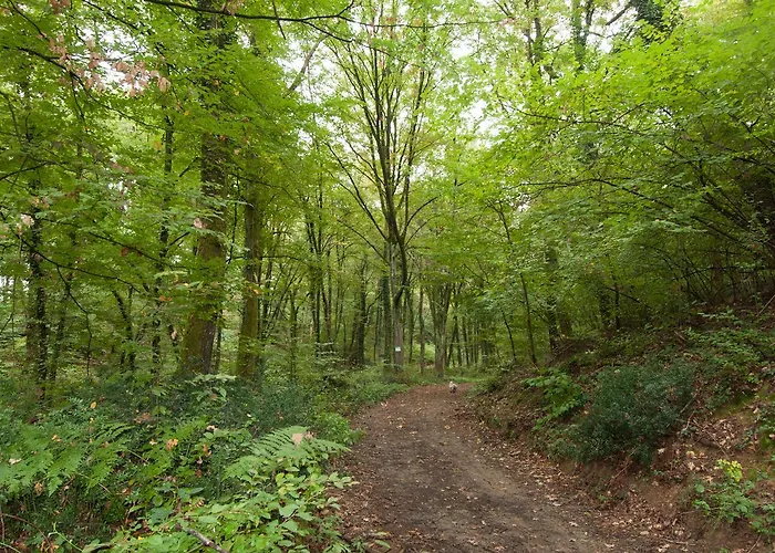 Bed & Breakfast Agriturismo Croara Vecchia