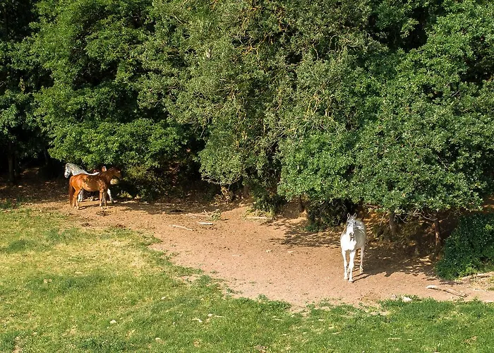 Agriturismo Croara Vecchia Bed & Breakfast *