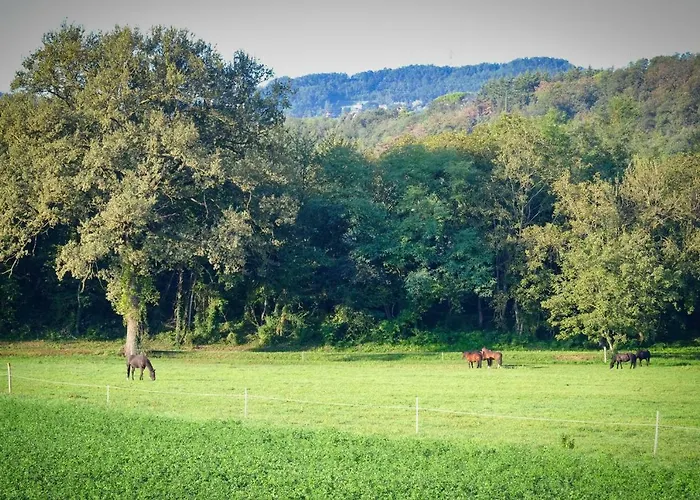 Agriturismo Croara Vecchia Bed & Breakfast